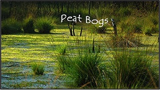 peat-bogs-320x180
