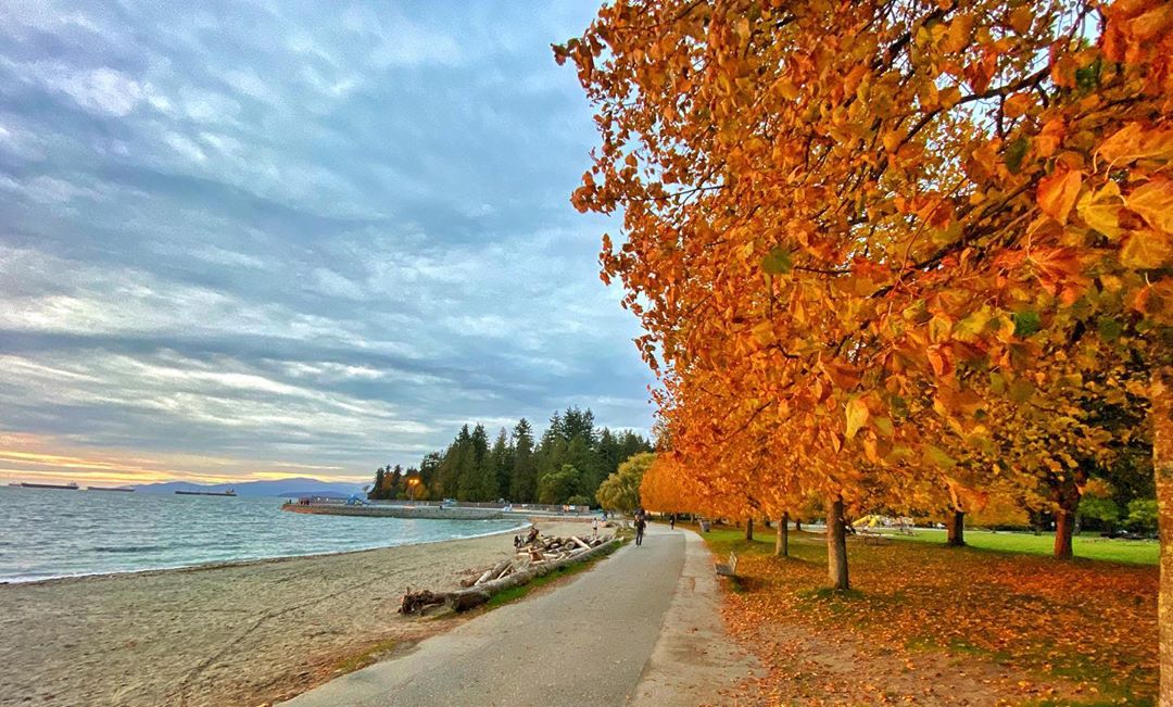 Fall in Vancouver - colorful leaves