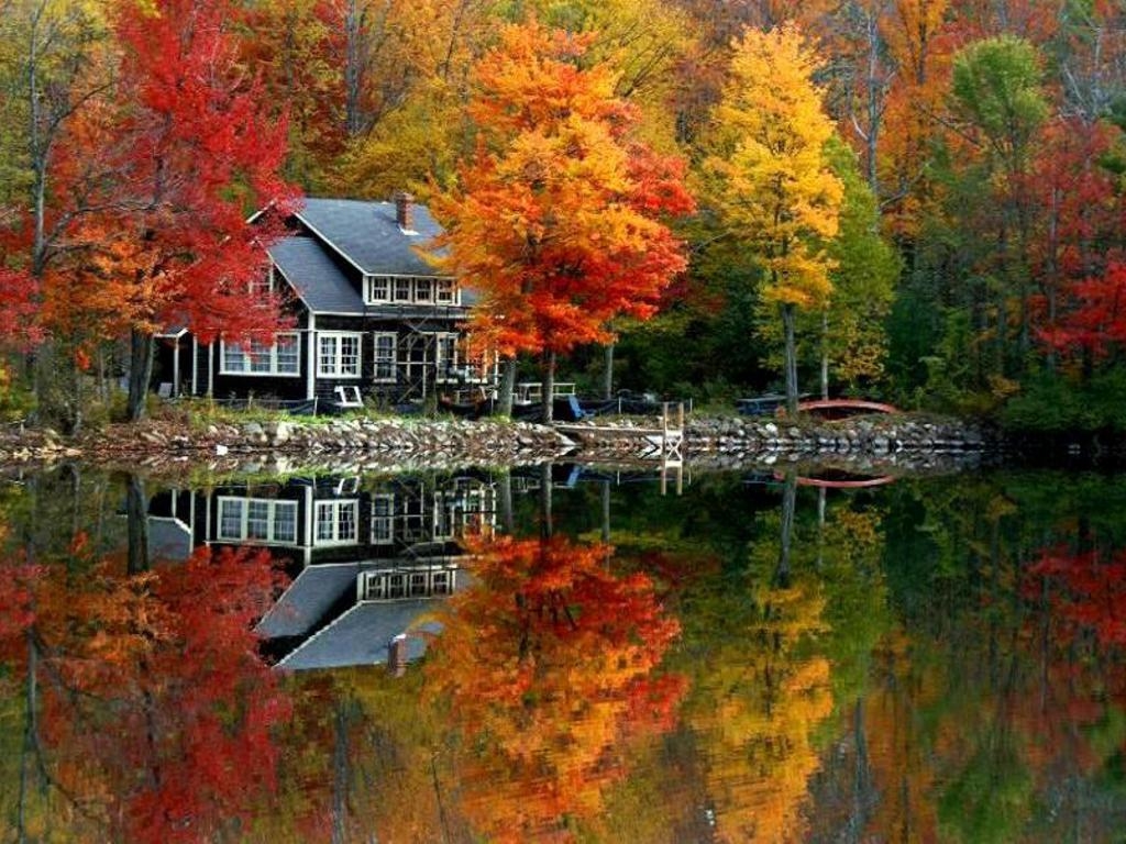 Autumn House by River
